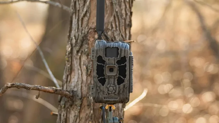 Stealth Cam Deceptor Max Troubleshooting