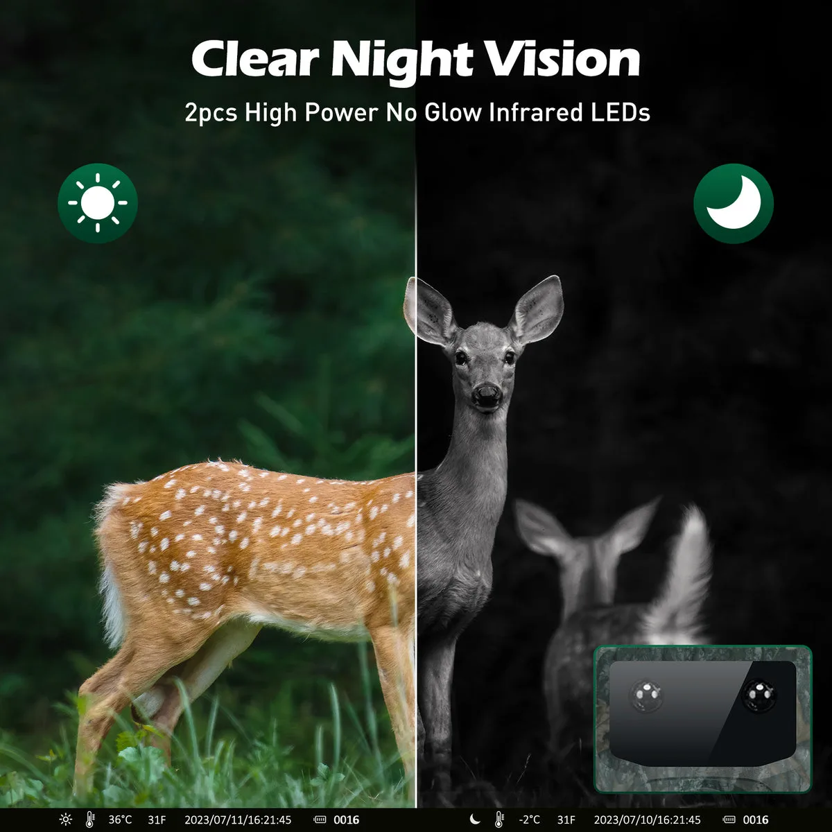 Time lapse interval settings