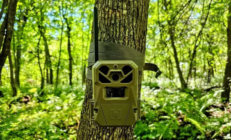 trail camera connection problems troubleshooting