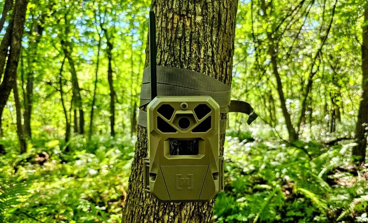 trail camera connection problems troubleshooting