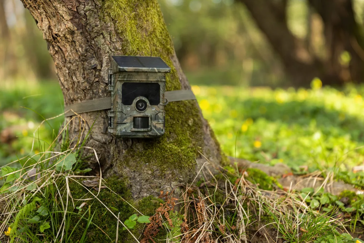 trail camera error message troubleshooting