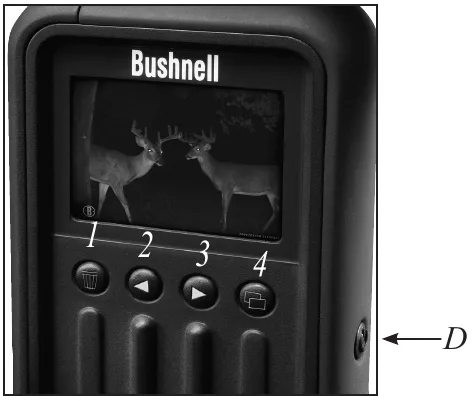 trail camera mode selection switch