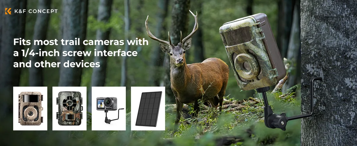 trail camera not recording video troubleshooting