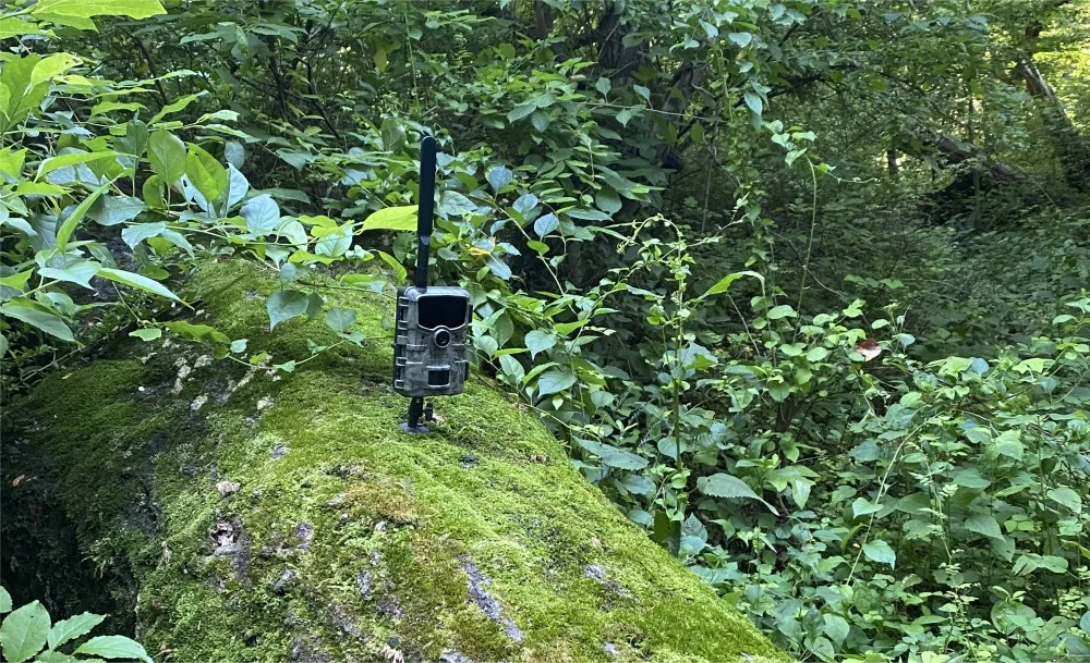 trail camera notification problems troubleshooting