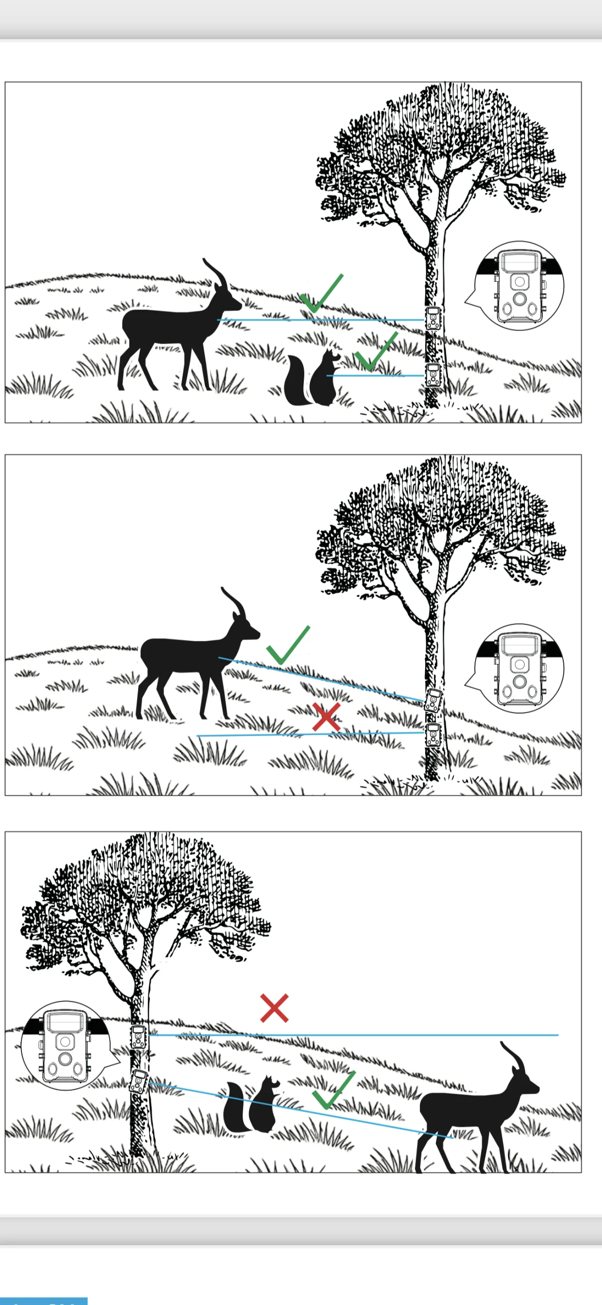 trail camera placement angle diagram