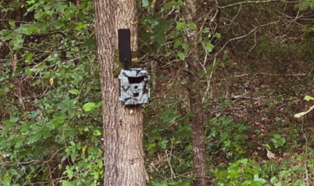 trail camera SD card error troubleshooting