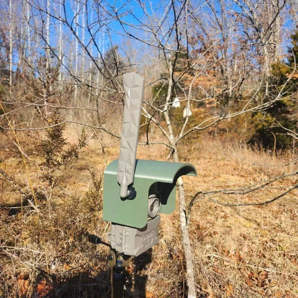 trail camera sun glare placement