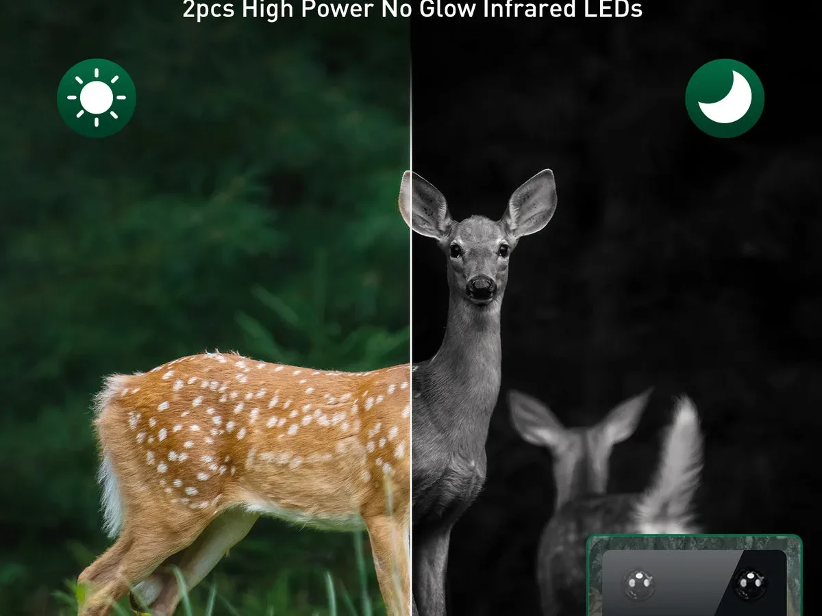 trail camera time lapse not working troubleshooting