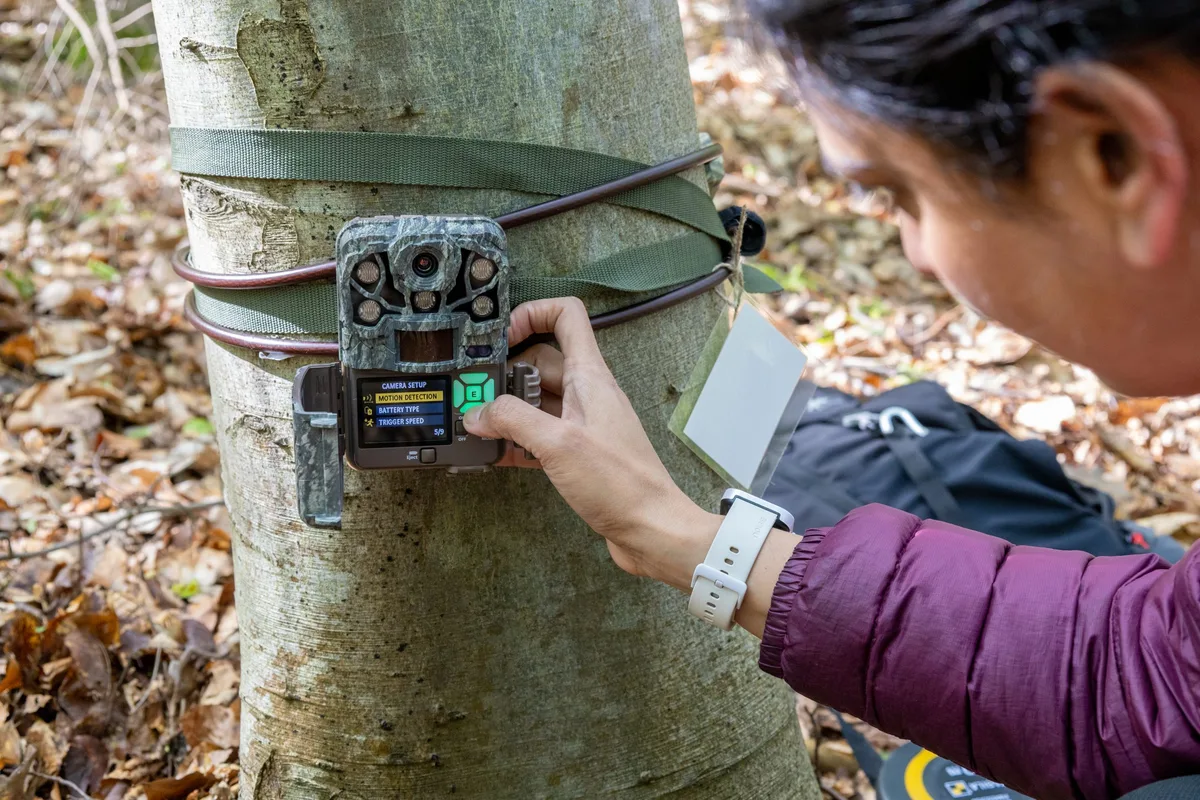 trail camera trigger sensitivity