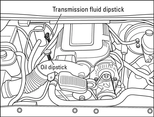 transmission fluid check