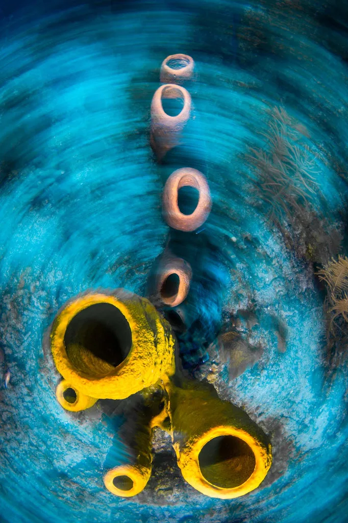types of underwater blur