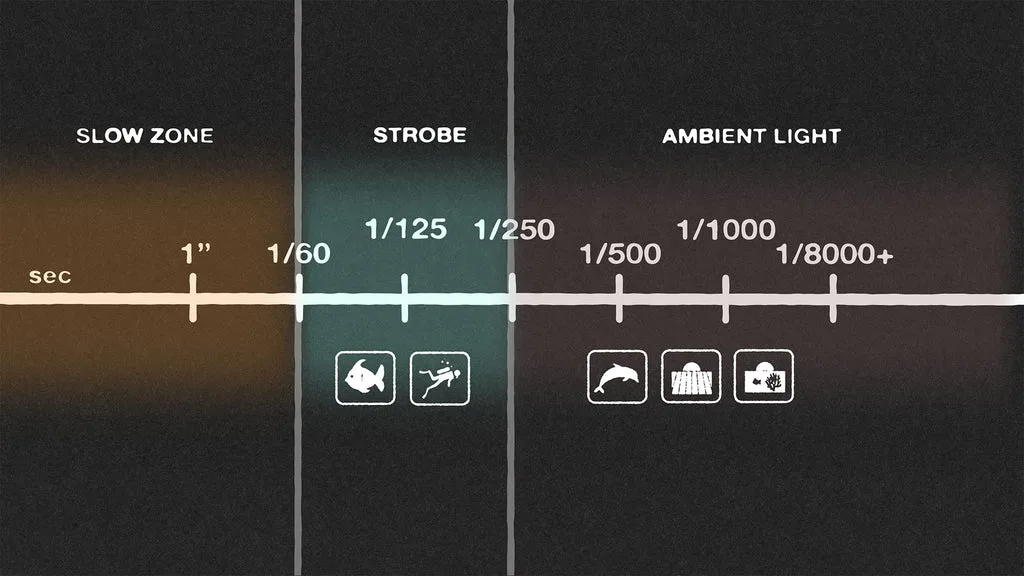 underwater exposure decision tree