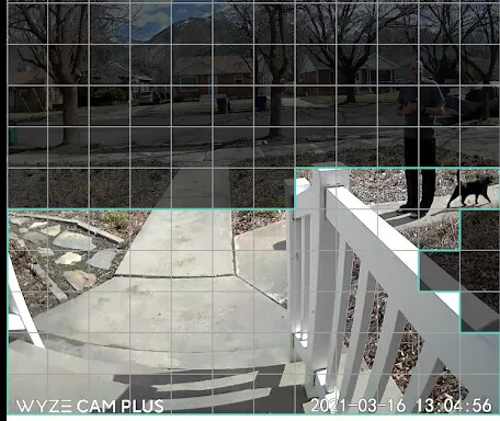 Wyze app detection zone