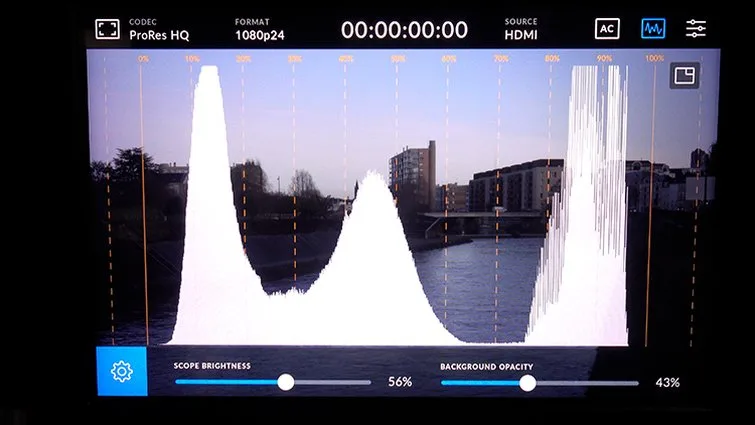 zebra stripes histogram mirrorless